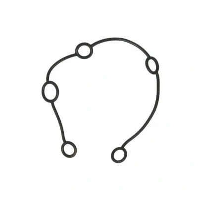 Abbildung von DT Spare Parts 2.10262 Dichtung, Steuergehäuse