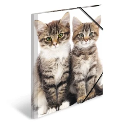 Abbildung von HERMA Sammelmappe A3 Katzen, Kinder Eckspanner Mappe aus Kunststoff mit Tier Motiv, Gummizug, Innenklappen und Innendruck für Jungen Mädchen