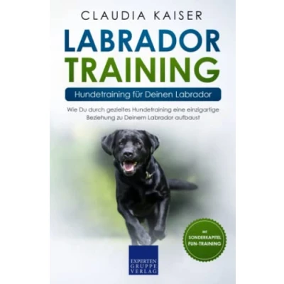 Abbildung von Labrador Training Hundetraining für Deinen Labrador: Wie Du durch gezieltes eine einzigartige Beziehung zu Deinem aufbaust