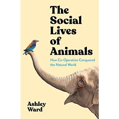 Abbildung von the Social Lives of Animals: How Co operation Conquered Natural World