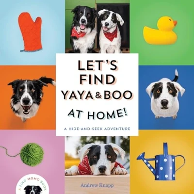 Abbildung von Let&#039;s Find Yaya and Boo at Home!: A Hide Seek Adventure (Find Momo, Band 6)