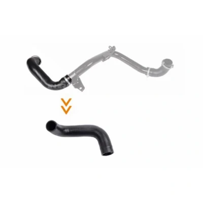 Abbildung von NRF 166204 Ladeluftschlauch mit Schellen FORD: Focus 2, 2 Kombi, C Max, VOLVO: V50, S40 II, C30