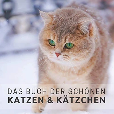 Abbildung von Das Buch der schönen Katzen und Kätzchen: Bildband für Senioren Demenzkranke (Bildbände Aktivitäten Senioren)