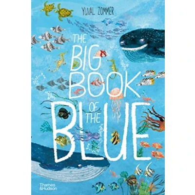 Abbildung von the Big Book of Blue: Yuval Zommer