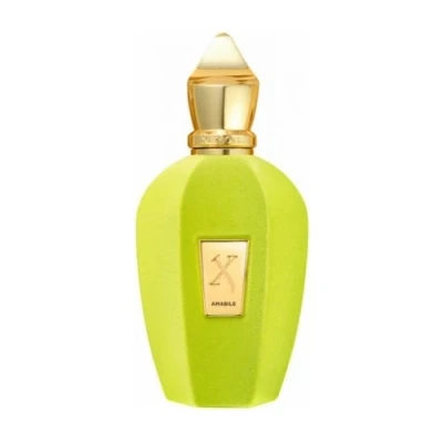 Abbildung von Xerjoff V Amabile Eau de Parfum 100 ml