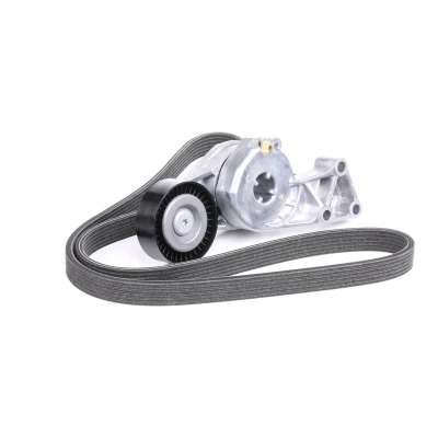 Abbildung von SKF VKMA 31204 Keilrippenriemensatz VOLKSWAGEN: Golf 4, Transporter 5 Bus, 5, SEAT: Leon I Hatchback, Alhambra I, Ibiza 2