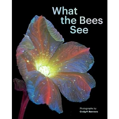 Abbildung von What the Bees See: A Honeybee&#039;s Eye View of World