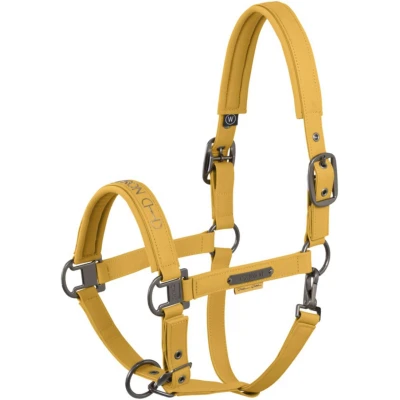 Abbildung von Eskadron Halfter Faux Leather Platinum &#039;25 Golden Yellow Pony Agradi.deVerkauft von Agradi