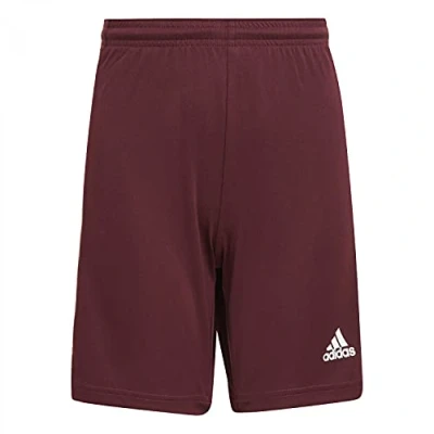 Abbildung von adidas Squad 21 Shorts Tmmaro/White 152