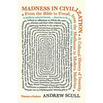 Abbildung von Madness in Civilization: A Cultural History of Insanity from the Bible to Freud, Madhouse Modern Medicine