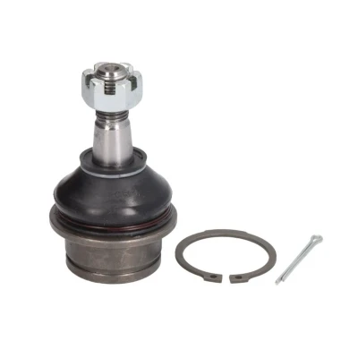 Abbildung von DELPHI TC2557 Traggelenk 55 91 NISSAN: NP300 Navara Pickup, Pathfinder 3