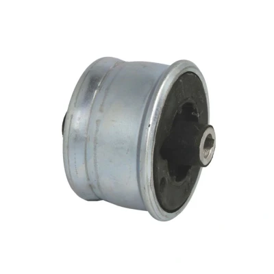 Abbildung von Lagerung, Querlenker DELPHI TD349W