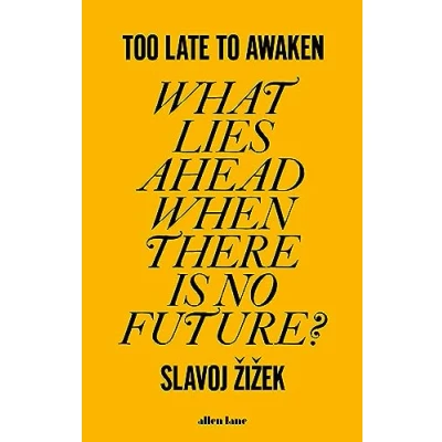 Abbildung von Too Late to Awaken: What Lies Ahead When There is No Future?