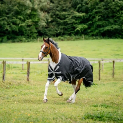 Abbildung von Amigo Turnout Lite Bravo 12 0g Black/Titanium Grey 160/213 Agradi.deVerkauft von Agradi
