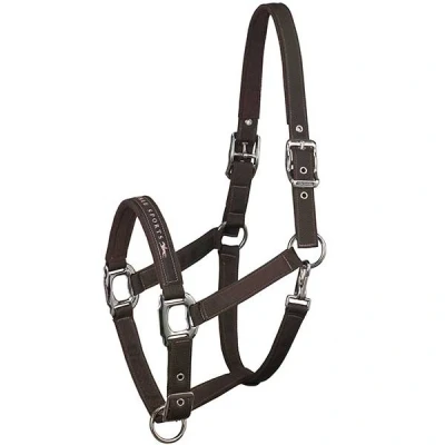 Abbildung von Schockemöhle Halfter Memphis Nylon Chocolate Warmblut