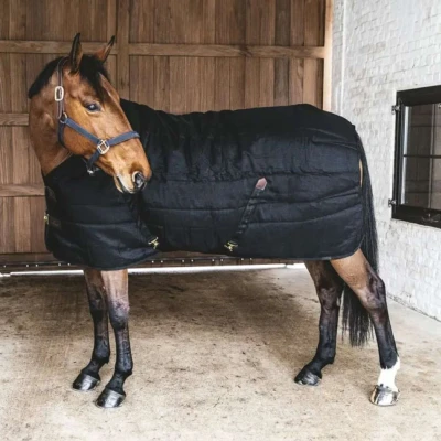 Abbildung von Kentucky Stalldecke Classic 200g Schwarz 160/213 Agradi.deVerkauft von Agradi