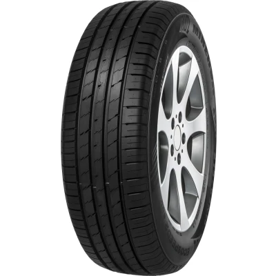 Abbildung von Minerva Ecospeed2 Suv 245/55 R19 107W XL