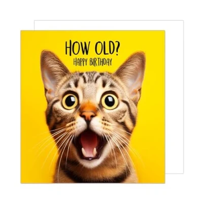 Abbildung von Edition Seidel Premium quadratische Geburtstagskarte mit Umschlag. Glückwunschkarte Happy Birthday Billet Tier Karte Kinder Mann Frau Coole Katze Humor Lustig (GQ152 SW024)