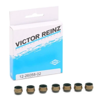 Abbildung von REINZ 12 26058 02 Dichtungssatz, Ventilschaft FPM (Fluor Kautschuk) VOLKSWAGEN: Golf 3, Polo III Hatchback, 4, AUDI: A6 C5 Avant, A4 B5 Saloon