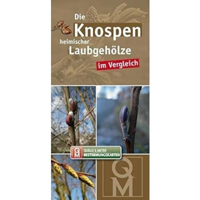 Abbildung von Die Knospen heimischer Laubgehölze im Vergleich (Quelle &amp; Meyer Bestimmungskarten)