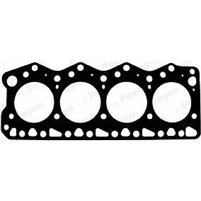 Abbildung von PAYEN AB5101 Zylinderkopfdichtung 1,2 Weichstoff Metall Dichtung FIAT: Ducato I Platform/Chassis, II Van