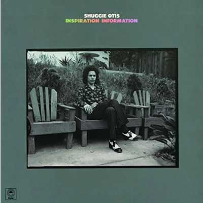 Abbildung von Inspiration Information [Vinyl LP]