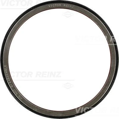 Abbildung von REINZ 81 37173 00 Kurbelwellendichtring PTFE (Polytetrafluorethylen), ACM (Polyacryl Kautschuk)