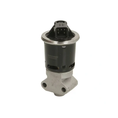 Abbildung von ENGITECH ENT500082 AGR Ventil DAEWOO: Kalos Hatchback