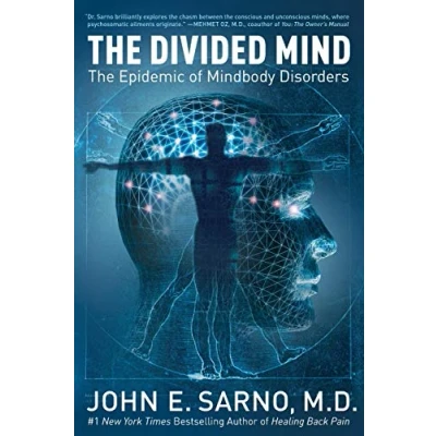 Abbildung von The Divided Mind: Epidemic of Mindbody Disorders
