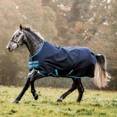 Abbildung von Amigo by Horseware Bravo 12 Turnout 50g Navy Türkis 125/175