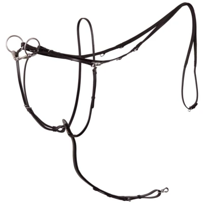 Abbildung von BR Thiedemannzügel Lancaster M/Martingal Schwarz Pony