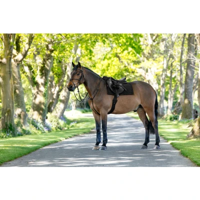 Abbildung von LeMieux Pillow Saddlepad Black