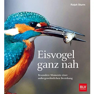 Abbildung von Eisvogel ganz nah: Besondere Momente einer außergewöhnlichen Beziehung (BLV Vögel)