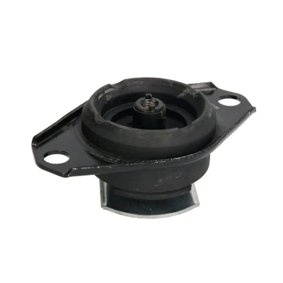 Abbildung von REINHOCH RH11 1030 Motorlager hinten FIAT: BRAVO 1, Multipla