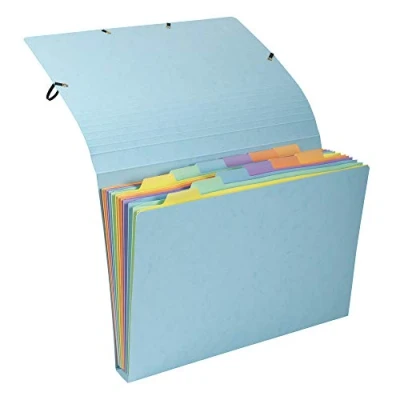 Abbildung von Exacompta 58560E Premium Fächermappe Aquarel aus extra starkem Colorspan Karton für DIN A4 12 Fächer Gummizugverschluss perfekt zur Aufbewahrung Ihrer Dokumente Ordnungsmappe 1 Stück Zufallsfarbe