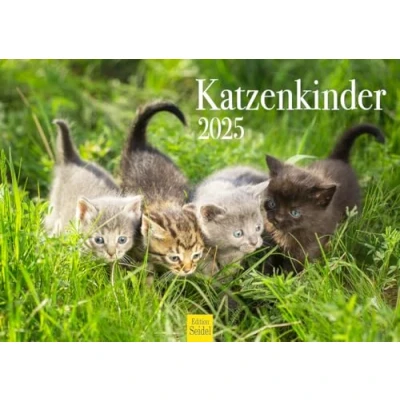 Abbildung von Edition Seidel Premium Kalender Katzenkinder 2025 Format DIN A4 Wandkalender Katzenkalender Haustiere Kätzchen Katze Kater Kitten Katzen Kinder