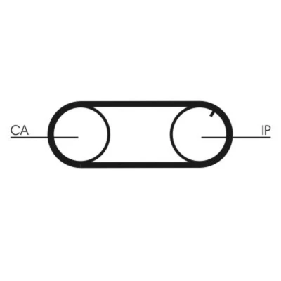 Abbildung von Zahnriemensatz + Rolle Flüssigkeitspumpe CONTITECH CT 704 WP2 PRO