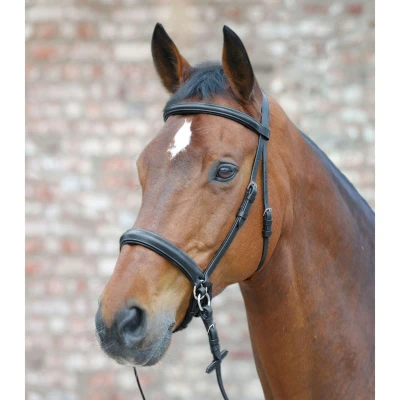 Abbildung von Star Gebisslose Trense Schwarz Pony