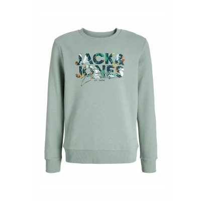 Abbildung von Jack &amp; Jones Junior Geplas CREW NECK Sweatshirt für Kinder, Größe: 152, Iceberg green