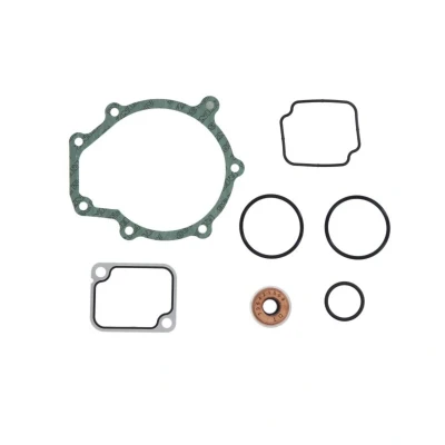 Abbildung von DT Spare Parts 4.90925 Reparatursatz, Wasserpumpe