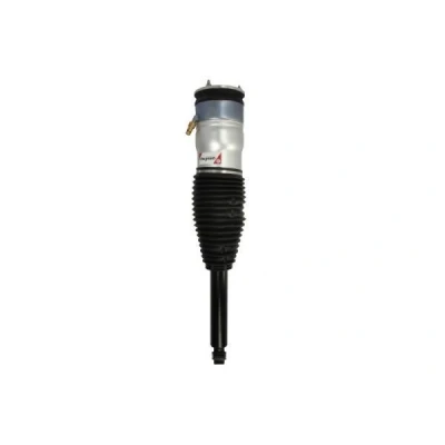 Abbildung von Magnum Technology APQ002MT Luftfederbein Hinterachse beidseitig TESLA: Model S