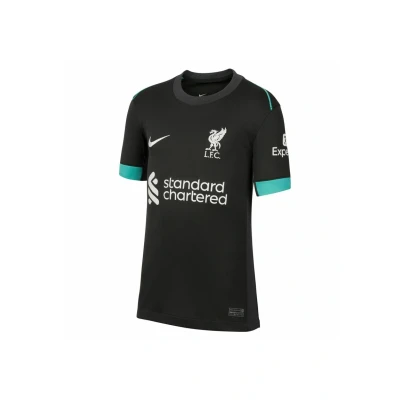Abbildung von Nike Performance Liverpool FC Stadium AWAY Vereinsmannschaften für Kinder, Größe: 158 170, Grautuerkis