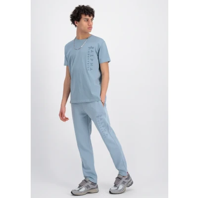 Abbildung von Alpha Industries Tshirt print, Herren, Größe: Large, Greyblue