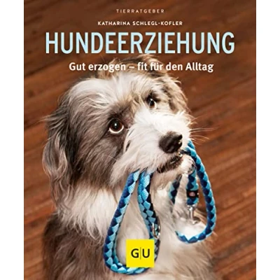 Abbildung von Hundeerziehung: Gut erzogen fit für den Alltag
