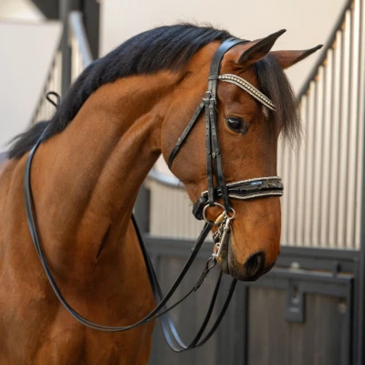 Abbildung von HB Showtime Double Bridle One in a Million