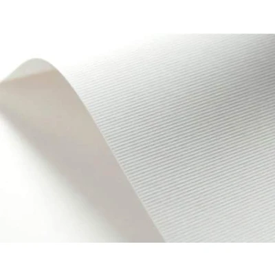 Abbildung von Netuno 100x Präge Karton Weiß gerippt DIN A4 21 x 29,7 cm 246g Elfenbeinkarton Ultraweiß Rippung Struktur Prägung Bastel strukturiert für Visitenkarten Einladungs Karten Zertifikate Diplome