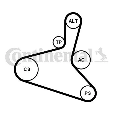 Abbildung von CONTITECH 6DPK1195K2 Keilrippenriemensatz VOLKSWAGEN: Bora Variant, Saloon, Transporter 5, SKODA: Octavia 1 Combi, I Hatchback