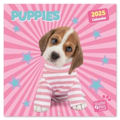 Abbildung von Kalender 2025 Wandkalender Grupo Erik Studio Pets Puppies Welpen Familienplaner 30 x cm Jahreskalender 12 Monate