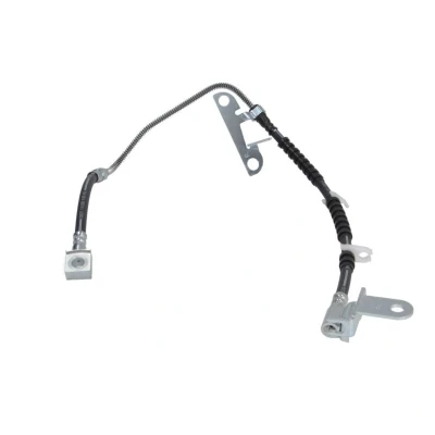Abbildung von DELPHI LH6925 Bremsschläuche 480 Banjo CHRYSLER: VOYAGER 4