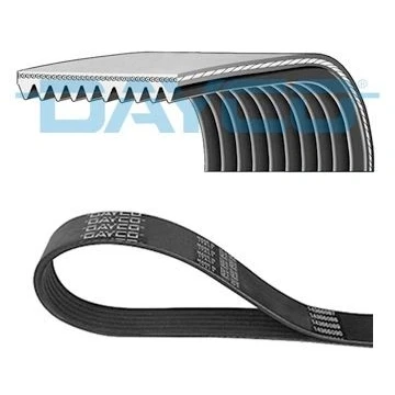 Abbildung von Keilrippenriemen DAYCO 3PK600